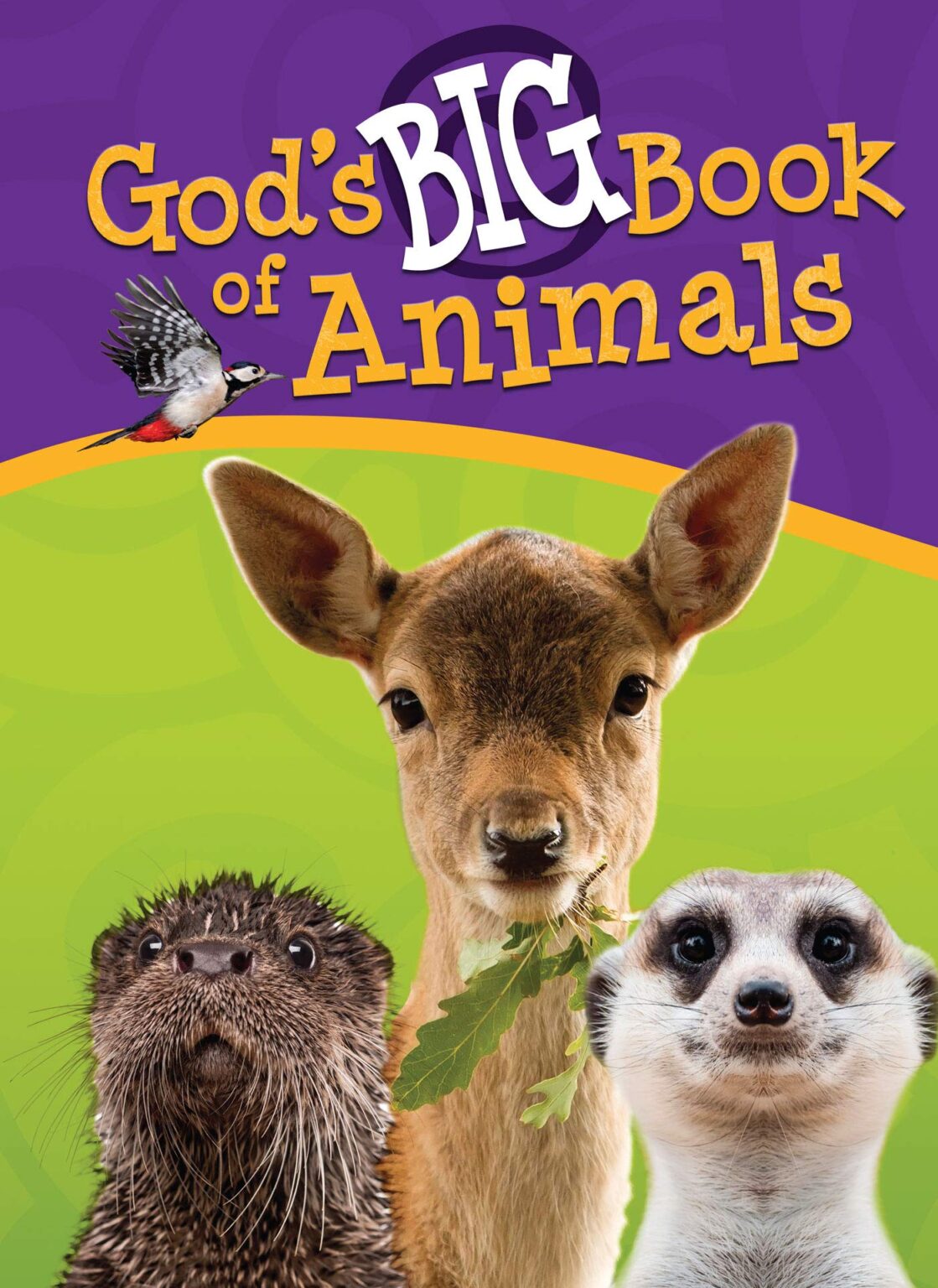 god-s-big-book-of-animals-alpha-omega-institute